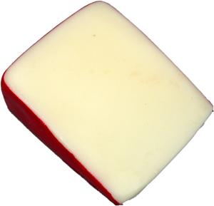 fake fontina cheese wedge