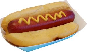 fake hot dog in box
