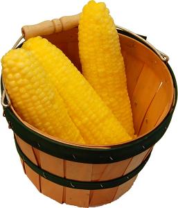 Whole Fake Corn 3 piece with Round basket
