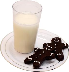 Fake Milk and Two Gingerbread Cookies on Plate
