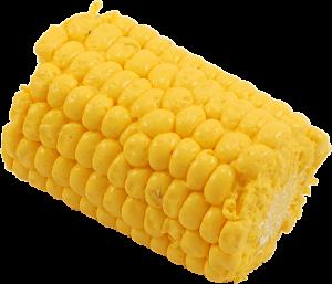 fake corn cob